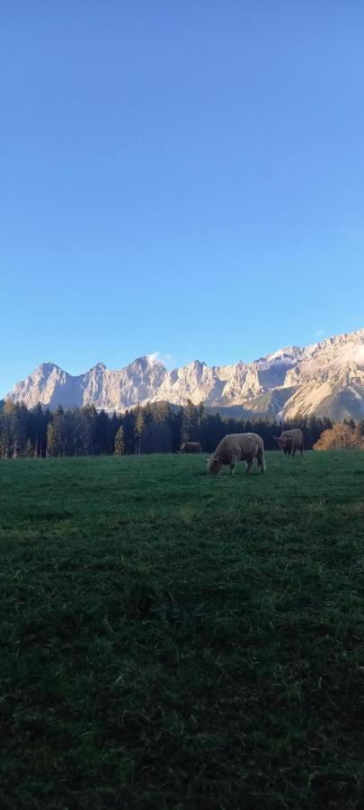 Landhaus-Koenigsberg, Vorberg 360 Ebenguetlweg Ramsau am Dachstein Dış mekan fotoğraf
